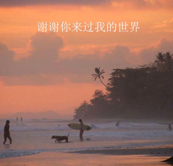 文藝好聽卻又不爛俗的句子 文藝好聽卻又不爛俗的句子