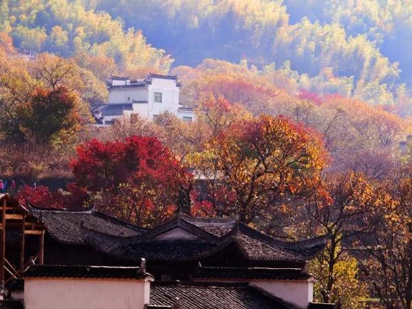 請您欣賞 風景美如畫 如此美麗