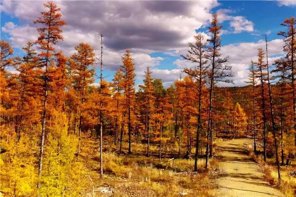 醉美中國，在秋天