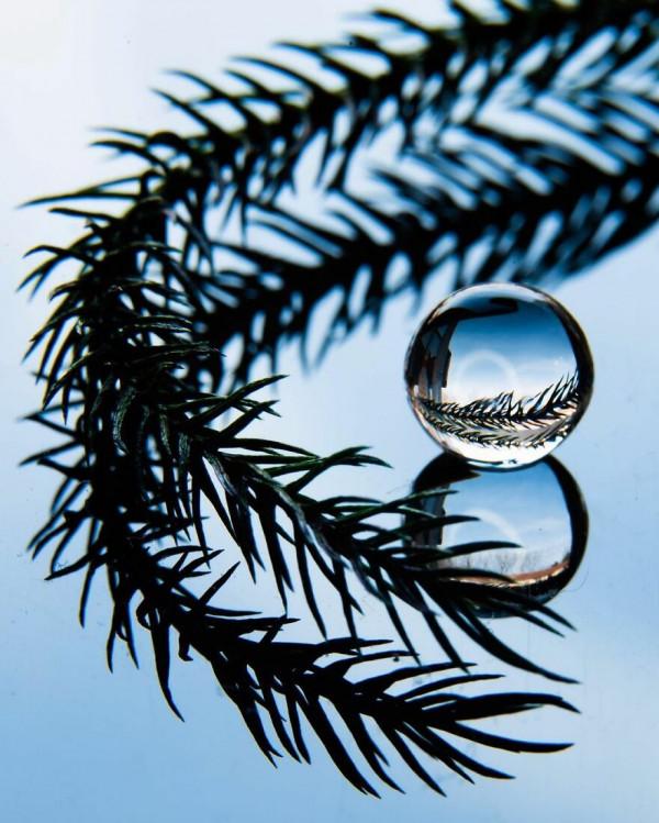 散文:滴水窺人生 散文:滴水窺人生