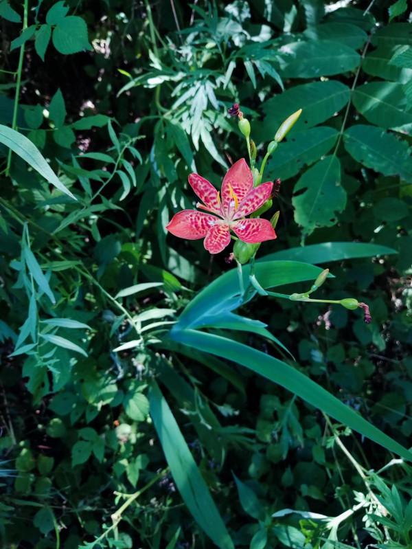 秦嶺72峪之小峪