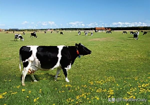 光明優加：科技加持，綠色低碳，為“更優”加一點