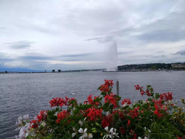 日內瓦大噴泉能噴多高？