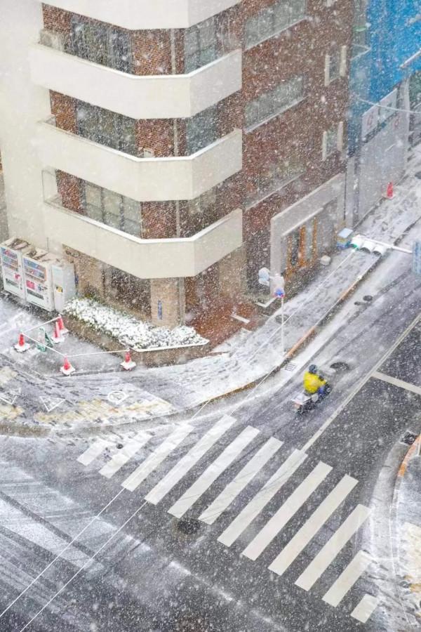 2022東京初雪,這個近45年來最冷的冬天,美翻了 2022東京初雪,這個近45年來最冷的冬天,美翻了