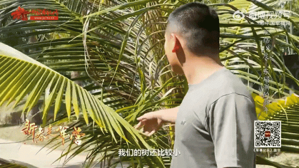 在界碑前接過鋼槍、在海島種下椰子樹，看看新兵們的儀式感