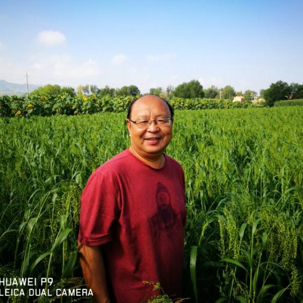 俄羅斯及北歐四國遊記（五）——風韻聖彼得堡下篇