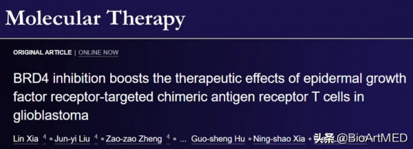 劉文教授團隊在腦膠質瘤“表觀免疫”聯合治療方面取得重要進展 劉文教授團隊在腦膠質瘤“表觀免疫”聯合治療方面取得重要進展