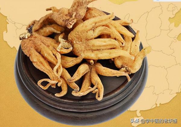 每日學習一味中藥——佛手