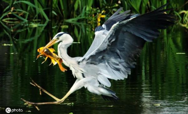 年度最佳 | 千龍網，2021年度回顧