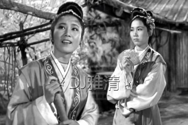 7位演過雙胞胎的演員，為何說王曉棠演得最好，張良次之？