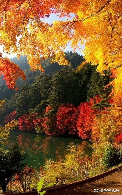 如果只是靠著相信“命中註定”會怎樣