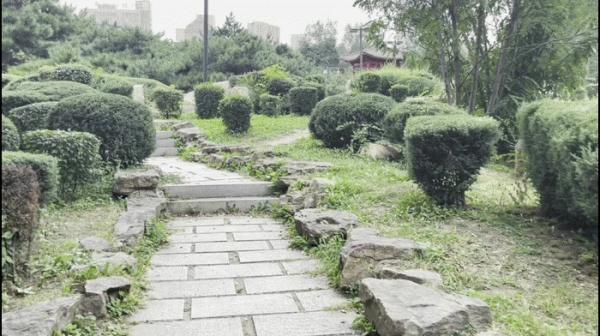 自動開合，三軸一體便攜無壓力-SNOPPA隨拍ATOM 2自動摺疊手機雲臺