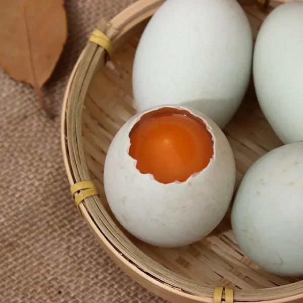 平民的養生，鴨蛋最補陰，雞蛋補氣血