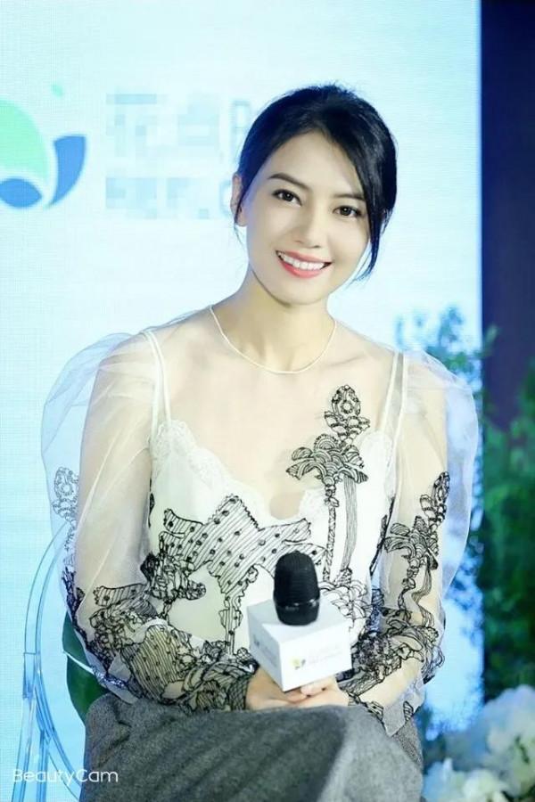 美麗大方的代名詞：高圓圓