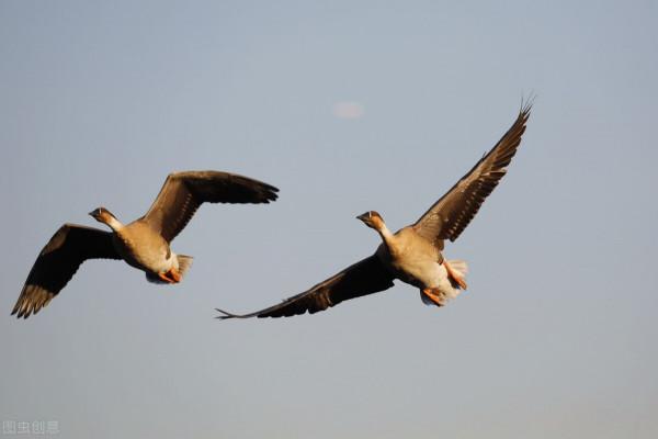 最經典的詩詞530首,掌握這些詩詞對寫詩和鑑賞詩詞足夠了 最經典的詩詞530首,掌握這些詩詞對寫詩和鑑賞詩詞足夠了