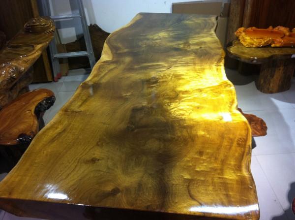 價值千金的金絲楠木，為什麼沒有人去種植呢？