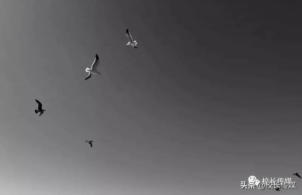 馬斯克震撼演講：世界上最可怕的事情是孩子沒有內驅力