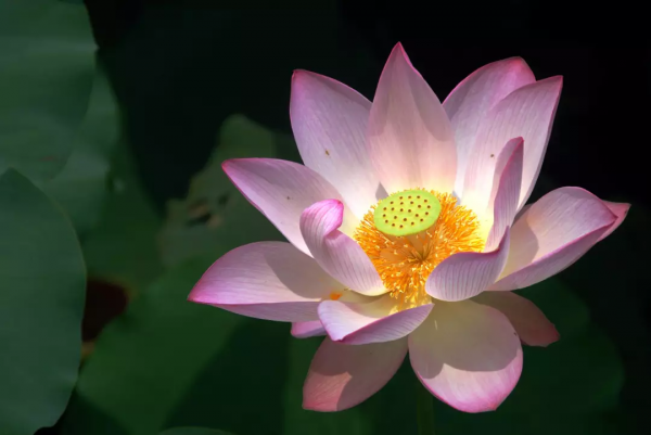 中國古今十之最,長見識了! 中國古今十之最,長見識了!