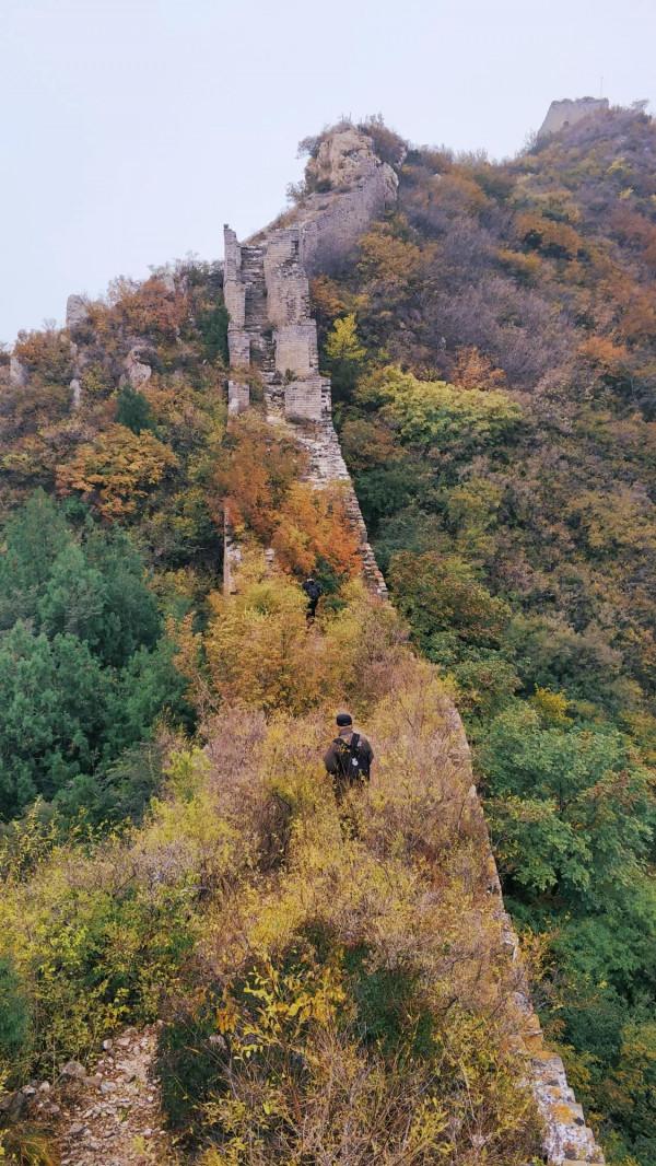 不出北京坐火車去賞秋,方便經濟不堵車,臥虎山蟠龍山盡顯中國紅 不出北京坐火車去賞秋,方便經濟不堵車,臥虎山蟠龍山盡顯中國紅