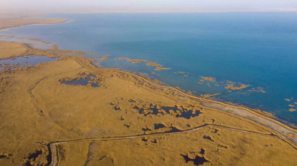 金秋時節,新疆戈壁的胡楊林穿上了華麗的服裝 金秋時節,新疆戈壁的胡楊林穿上了華麗的服裝