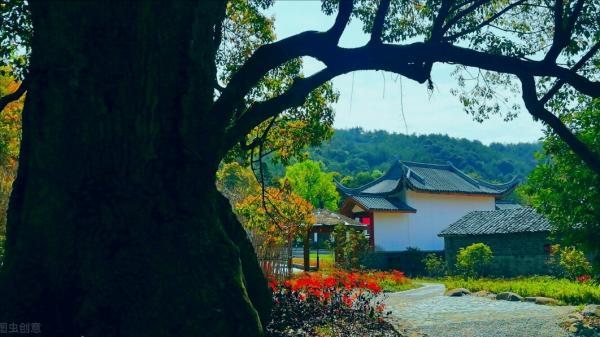 我在麻將館一時貪圖快樂,沒想到給自己惹了大麻煩 我在麻將館一時貪圖快樂,沒想到給自己惹了大麻煩