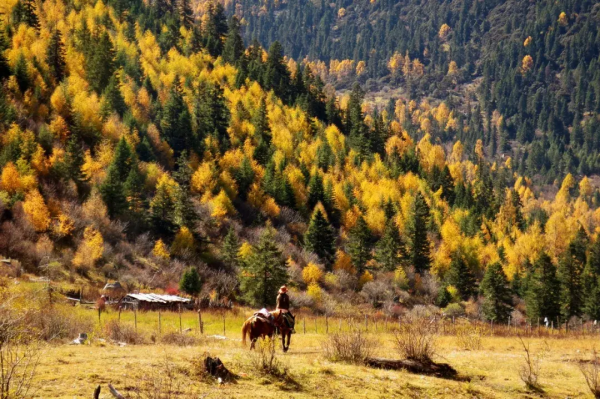 12月必去的7個古鎮,每一個都美到不想離開,閒了就去小住幾日吧 12月必去的7個古鎮,每一個都美到不想離開,閒了就去小住幾日吧