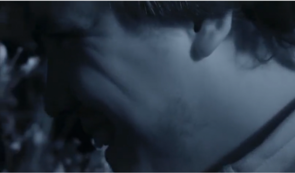 永不服輸的蜜獾，曾經有一個保護區飼養了兩隻，後來怎麼樣了？