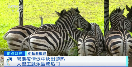 中秋流行滑雪?訂單暴漲!中秋出行熱門景區TOP10出爐 中秋流行滑雪?訂單暴漲!中秋出行熱門景區TOP10出爐