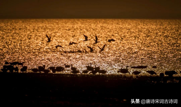 雁飛南與北,相思秋與春 雁飛南與北,相思秋與春