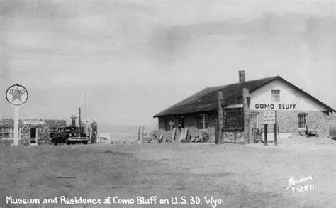 美國骨屋——由5796塊恐龍骨骼建成的小屋