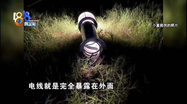 法鬥犬疑似被小區燈柱電傷，物業回應：沒有漏電