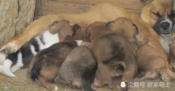 別人愛心《氾濫成災》