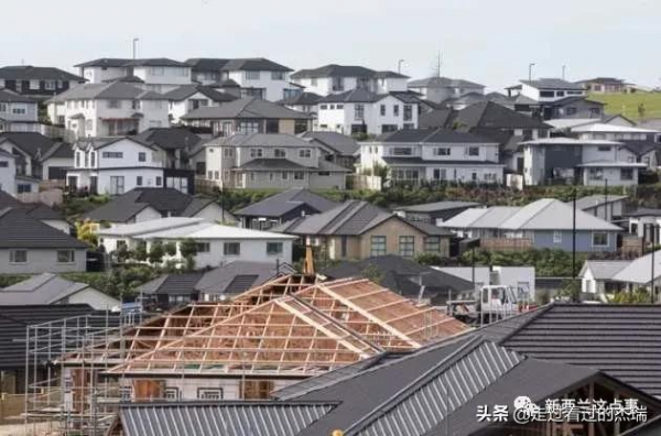 金融危機襲來,經合組織提紐西蘭經濟風險!財長再拒延遲退休建議 金融危機襲來,經合組織提紐西蘭經濟風險!財長再拒延遲退休建議
