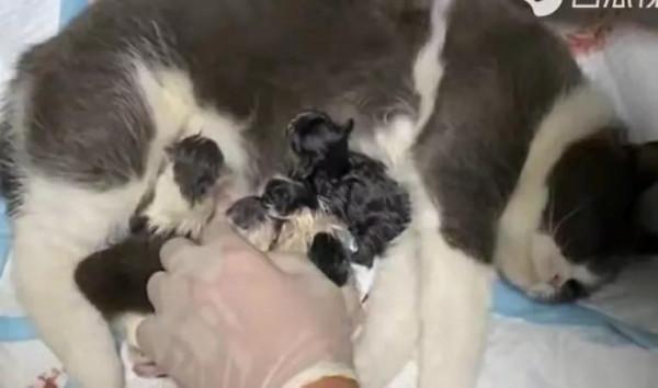 90後情侶入住毛坯房3年，入住毛坯房，他們覺得很快樂