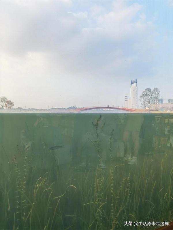 一本從天上掉落的書