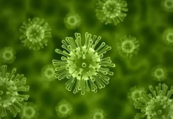 現存最大的蜥蜴，“被神話”的科莫多巨蜥，其真正實力究竟咋樣？