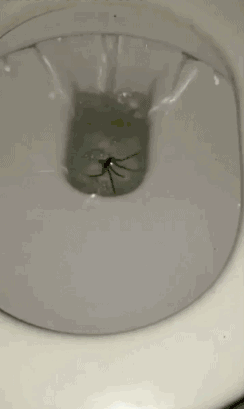 若再買房，衛生間一定要&OpenCurlyDoubleQuote;8不裝&rdquo;，不是唬人，而是過來人的經驗