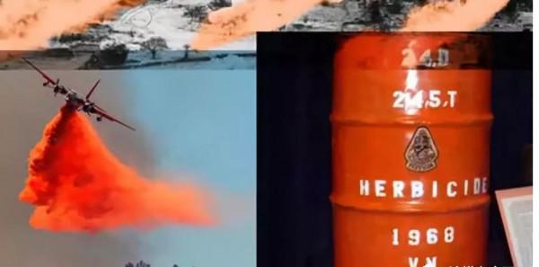 老美的黑歷史(3):橙劑事件與背後的轉基因食品公司 老美的黑歷史(3):橙劑事件與背後的轉基因食品公司