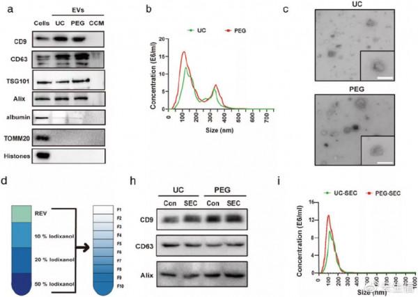 國自然硬核寶典│你所關心的國自然熱點研究思路一篇JEV幫你搞定