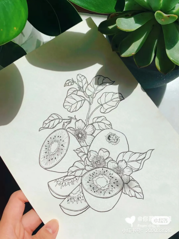 頂級創意線描,張張精緻走心,不收藏太可惜了 頂級創意線描,張張精緻走心,不收藏太可惜了