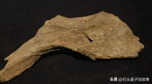 日本珍藏1300年的國寶，僅3人用過，隋煬帝：那不就是根柴火嗎？