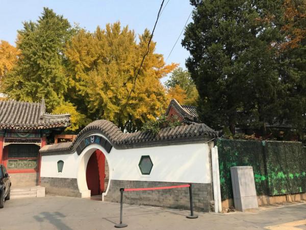 日壇路—日壇公園—芳草地小學 日壇路—日壇公園—芳草地小學