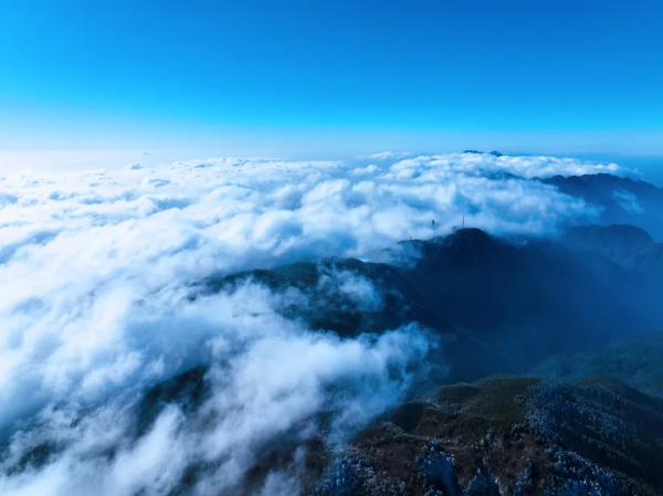 超想嘗一口明月山雲海，棉花糖味兒的！
