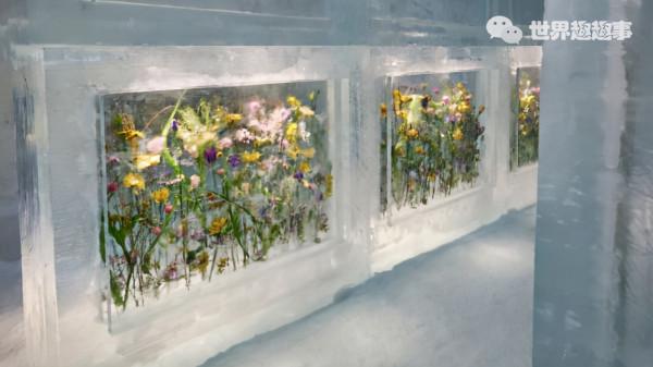 瑞典皇家冰雪酒店-ICEHOTEL再次營業