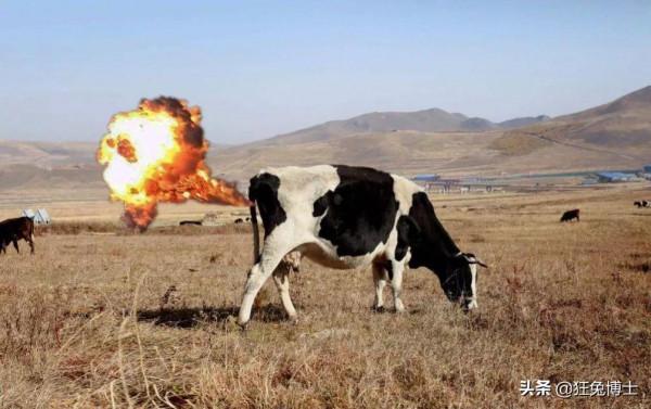 舌尖上的交鋒？欲加之罪何患無辭，中國吃貨表示：這鍋咱不背