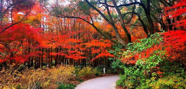 嘗秋正當時,錯過再等一年 嘗秋正當時,錯過再等一年