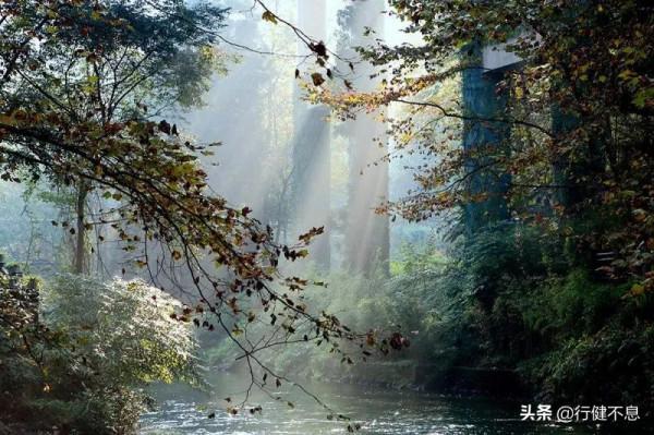 十首描寫秋天多姿多彩的著名唐詩，除了愁思哀怨，還有豪邁樂觀