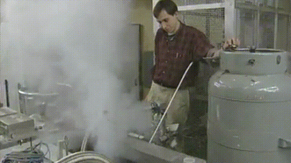 液體貓咪之謎：為什麼說貓都是液體？這竟然是被證明過的科學結論