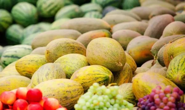 跟著秋天，去新疆