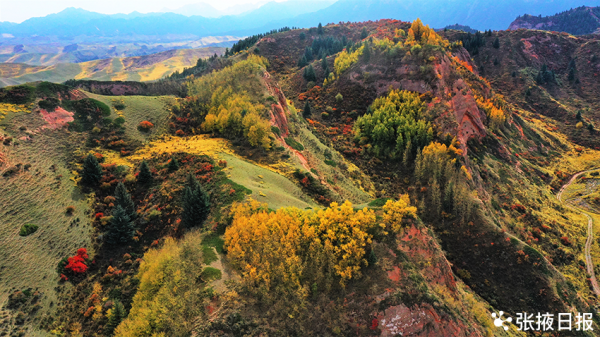 秋染祁連山，馬蹄寺景區五彩斑斕美不勝收